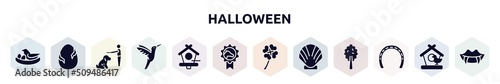 halloween filled icons set. glyph icons such as bird and egg, egg with a crack, dog learning man instructions, hummingbird, birds house, horse races badge, four leaf clover, seashell, horseshoe with