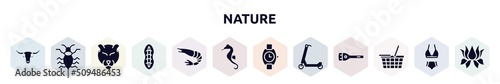 nature filled icons set. glyph icons such as bull, antlion, panther, plankton, , seahorse, wristwatch, scooter, food basket icon.