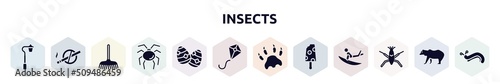 insects filled icons set. glyph icons such as streetlight, no smoking, rake, opiliones, easter egg, kite, paw print, , pond skater icon.