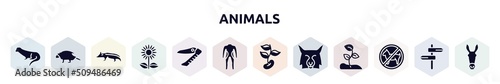 animals filled icons set. glyph icons such as otter, porcupine, badger, sunflowers, swiss army knife, diving suit, beans, lynx, forbidden icon.