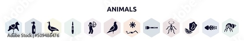 animals filled icons set. glyph icons such as rocking horse, oxygen tank, goose, bullets, hunter, pigeon, sunbathing, torch, mussel icon.