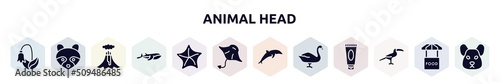 animal head filled icons set. glyph icons such as harebell, racoon, volcano, blue whale, starfish, manta ray, dolphin, swan, toucan icon.