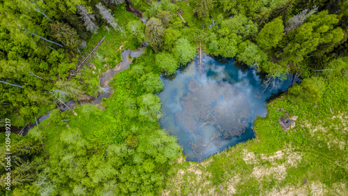 Aerial view of wild forest lake. drone photo