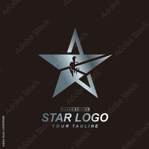Silhouette warrior helmet inside silver star logo design. 