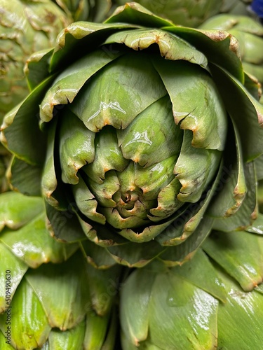Artichoke  fresh close up in grocery display