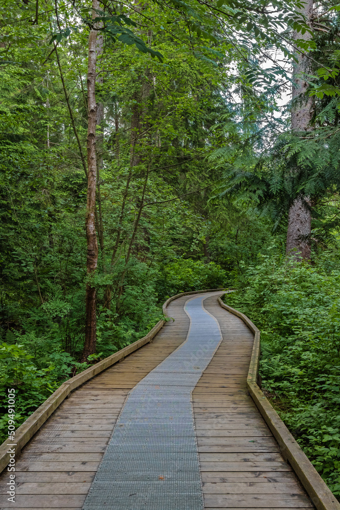 A wooden walking trail over a lake through a forest and a field against a cloudy sky in a natural park in the city of Richmond, British Columbia, Canada A wooden walking trail over a lake through a forest and a field against a cloudy sky in a natural park in the city of Richmond, British Columbia, Canada