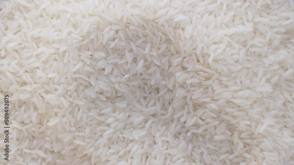 Scooping White Rice Scooping White Rice