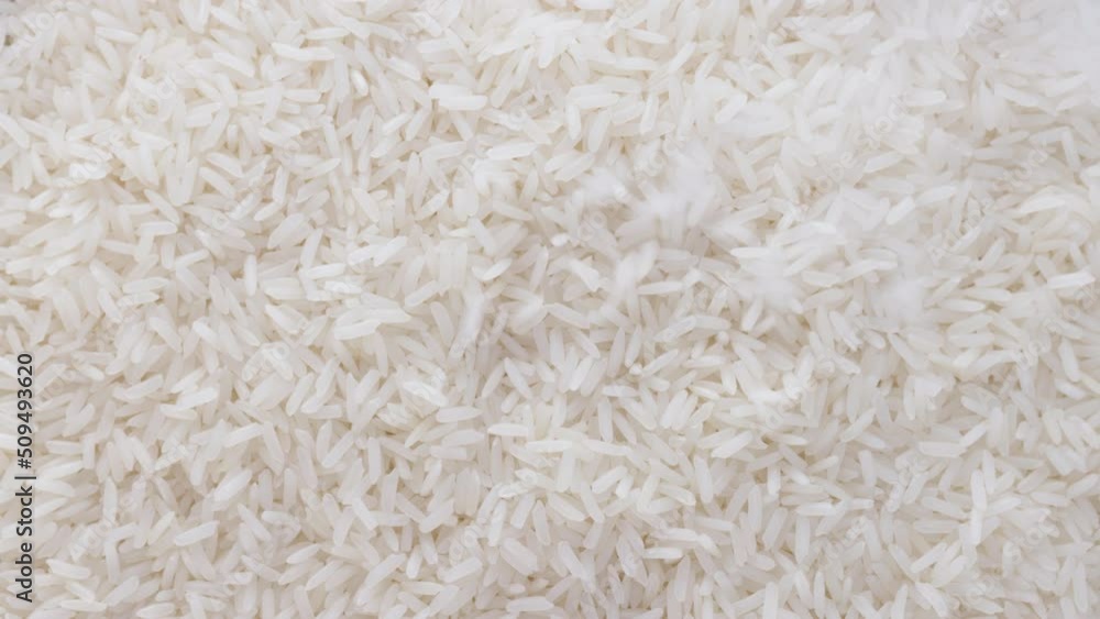 Grains of White Rice Flat Lay Grains of White Rice Flat Lay