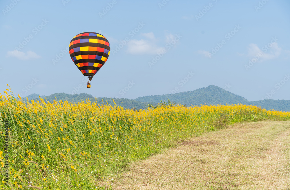 Naklejka premium color hot air balloon in the blue sky background.