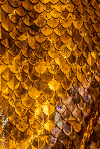 Brass Wall of Scales