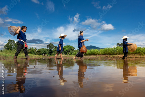 People family finding fish on tradition tool for catch fish in rice field of rural