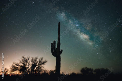 Milky Way over silhouetted Saguaro cactus at Saguaro National Park  photo