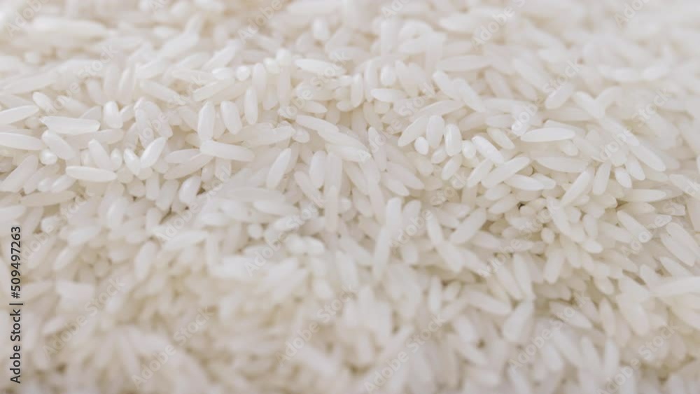 Dried White Rice Dried White Rice