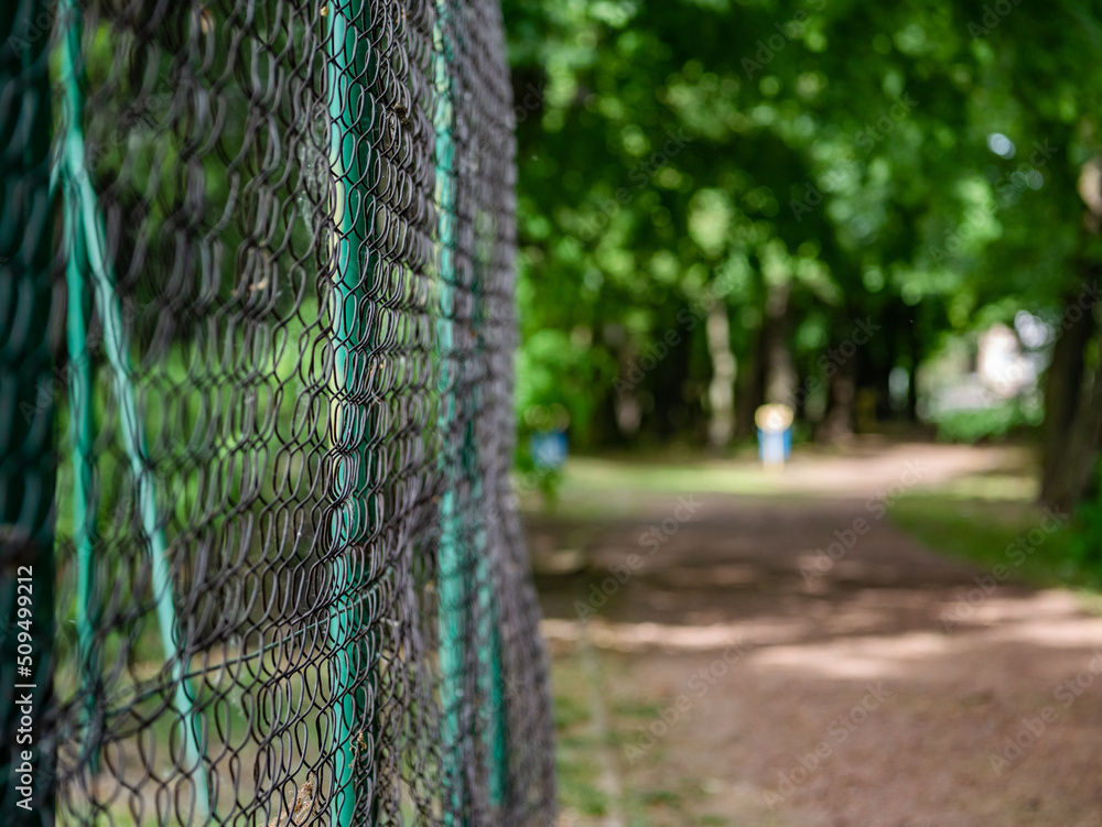 siatka w parku pośród drzew ogrodzenie boiska sportowego, zielone tło letni klimat zachodnia Polska - obrazy, fototapety, plakaty 