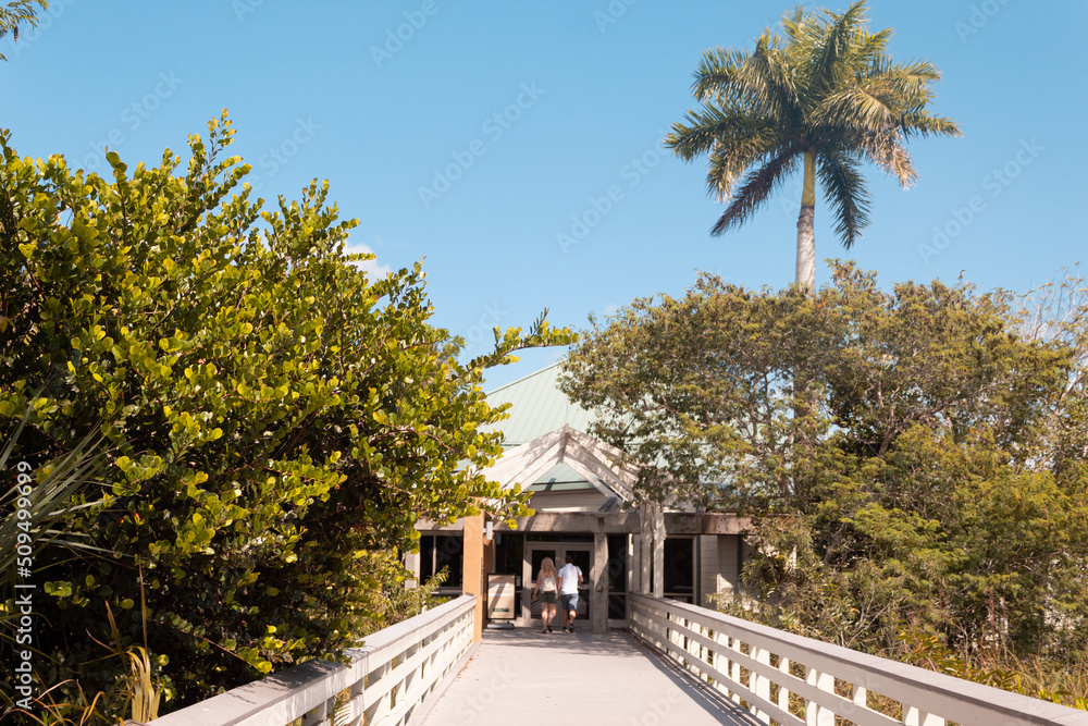 Two unrecognizable people at the end of a wooden path with greenery on both sides during a summer day Two unrecognizable people at the end of a wooden path with greenery on both sides during a summer day