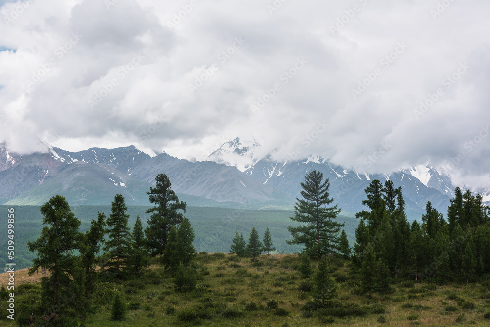 Gloomy alpine landscape with dark green forest with view to large snowy mountain peak in low clouds. Dark atmospheric mountain scenery with coniferous trees on hill and snow mountain top in cloudy sky Gloomy alpine landscape with dark green forest with view to large snowy mountain peak in low clouds. Dark atmospheric mountain scenery with coniferous trees on hill and snow mountain top in cloudy sky