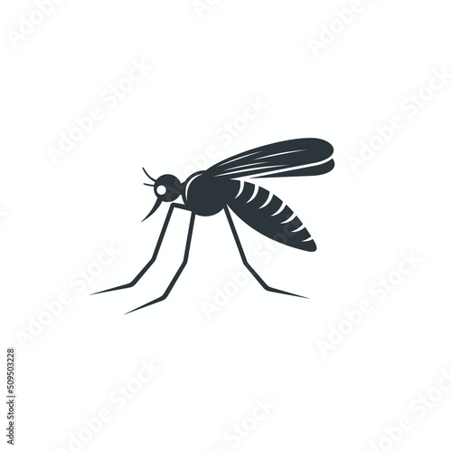 illustration of mosquito, vector art.