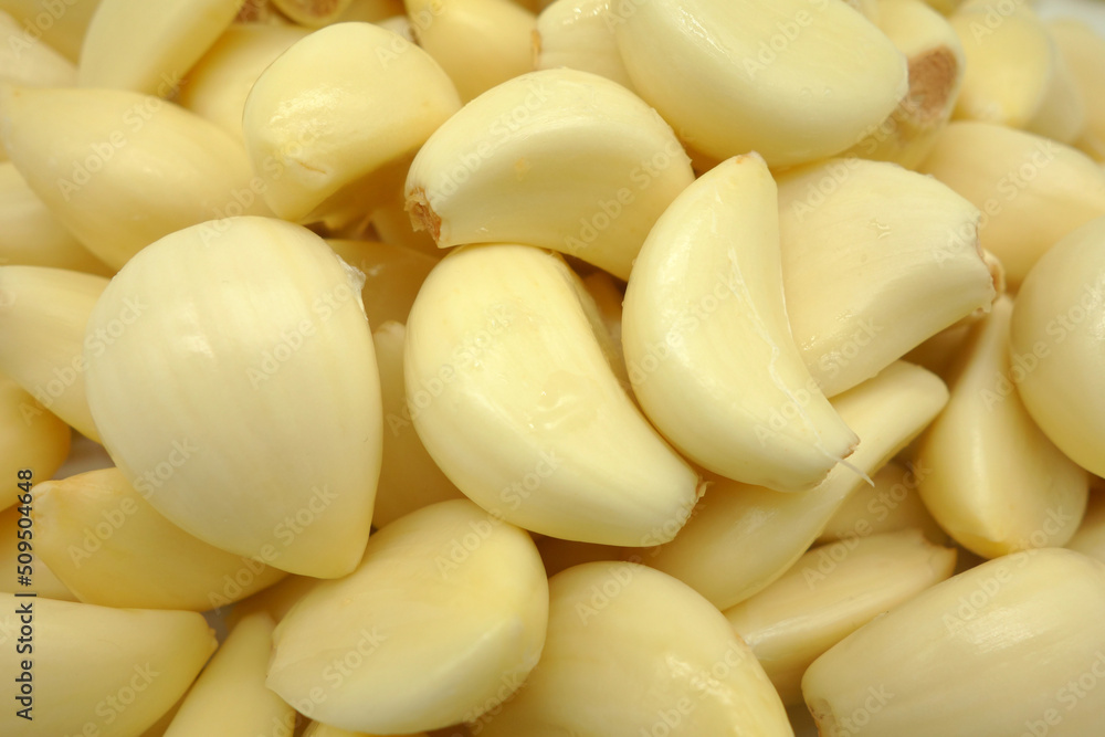 garlic garlic