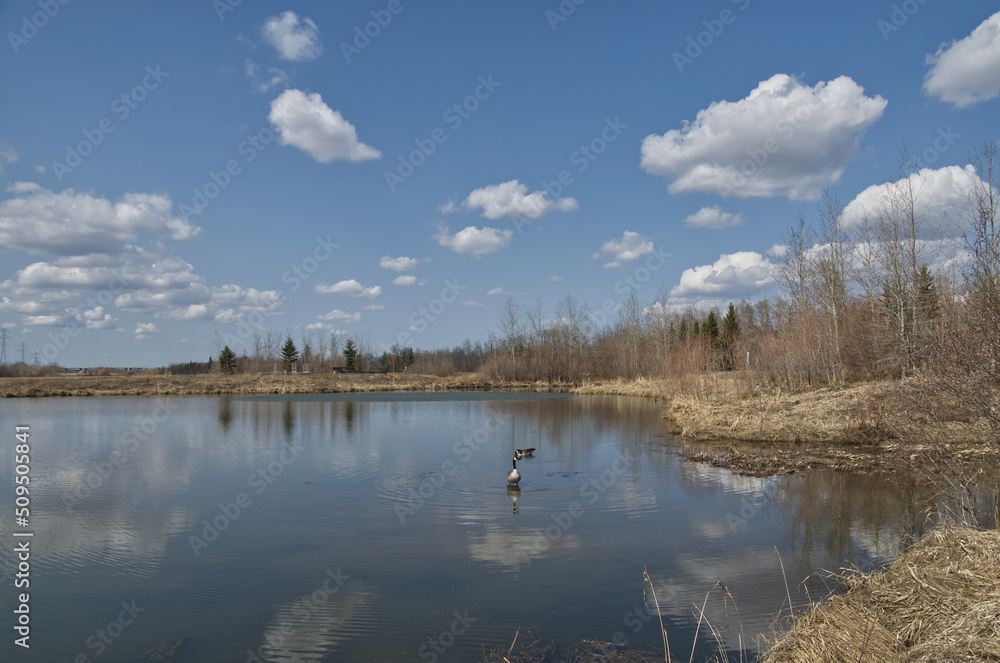 Fototapeta premium Pylypow Wetlands in the Early Spring