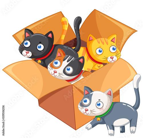 Cute cats in the cardboard box