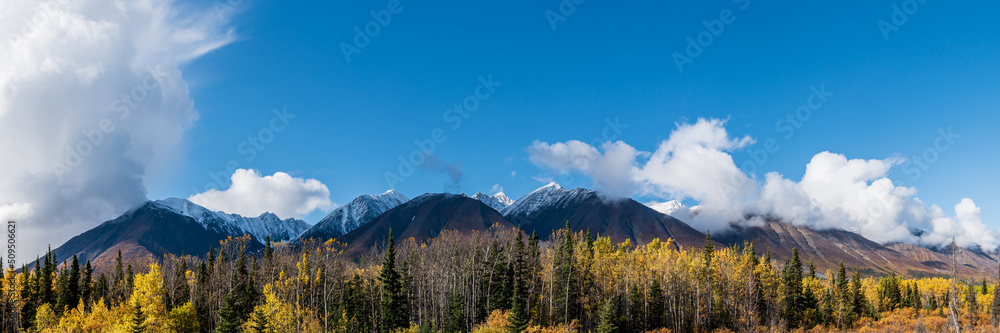 Fall, autumn views in northern Canada in panoramic, scenic view with bright blue sky and snow capped mountains. 
