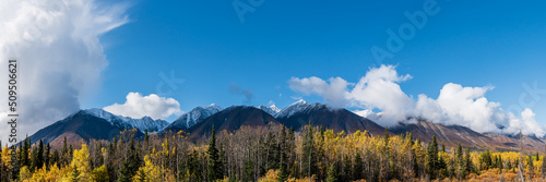 Fall, autumn views in northern Canada in panoramic, scenic view with bright blue sky and snow capped mountains. 