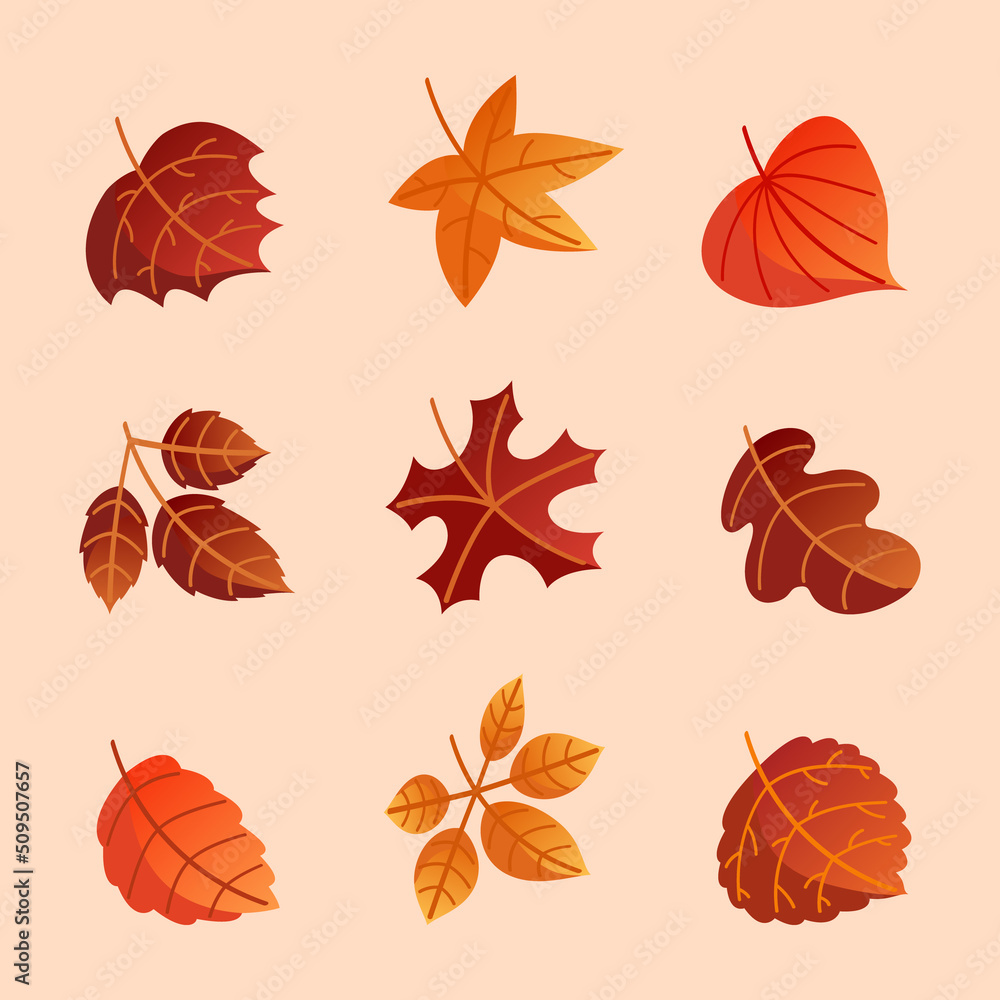 Fototapeta premium Whitered Fallen Leaves On Autumn Icon