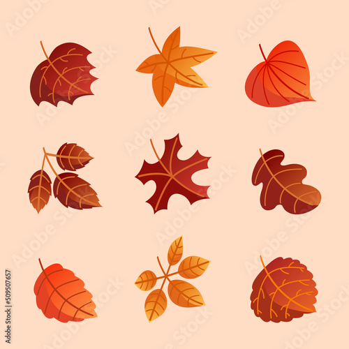 Whitered Fallen Leaves On Autumn Icon photo