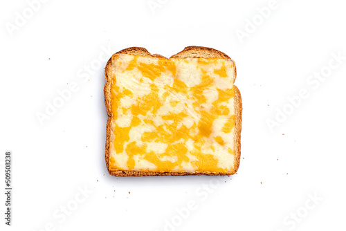 Grilled Toast with Melted Colby Jack Cheese Toast on Wheat Bread Isolated on White Background Flat Lay Top View