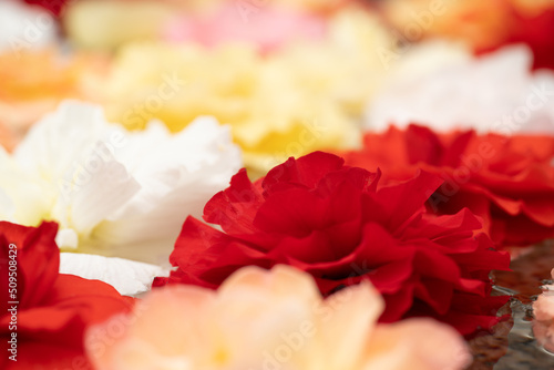 水に浮かぶ色とりどりのバラの花