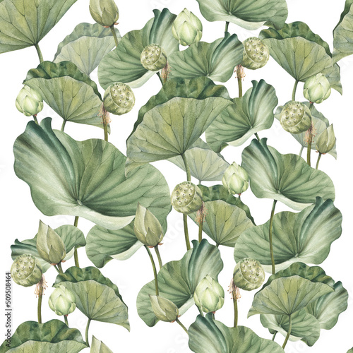 Hand drawn watercolor seamless pattern with white lotus flowers and lotus leaf