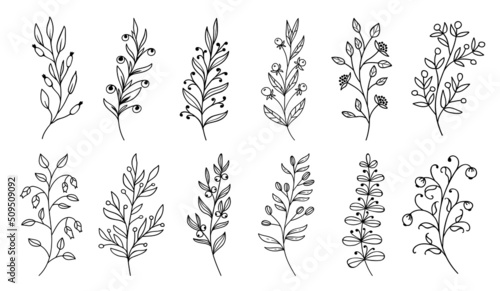 Outline twigs and sprigs with berries  leaf plants and flowers  vector doodle leaves. Twig sprigs or plant branches in sketch line  black and white floral and forest berry pattern in contour