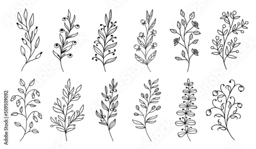 Outline twigs and sprigs with berries, leaf plants and flowers, vector doodle leaves. Twig sprigs or plant branches in sketch line, black and white floral and forest berry pattern in contour