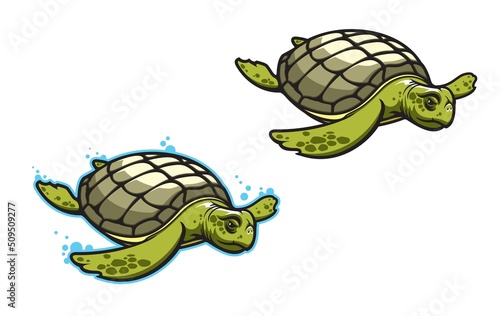 Cartoon turtle animal mascot for sport team or players club, vector emblem. Basketball, baseball of softball college badge, swimming sport adn football soccer or hockey varsity turtle mascot