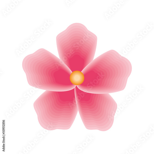 sakura flower icon