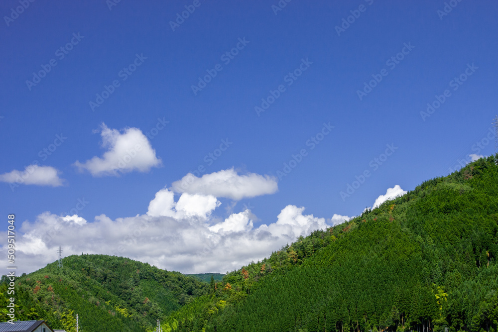 Obraz premium 郡上八幡,