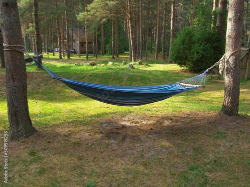 Hammock between pines. Rest in a pine forest.