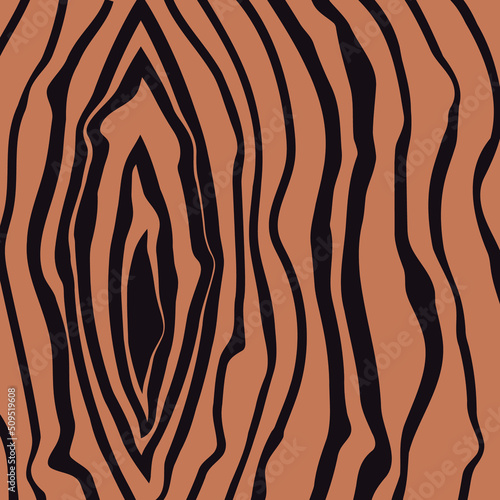Wooden Texture Vector Background
