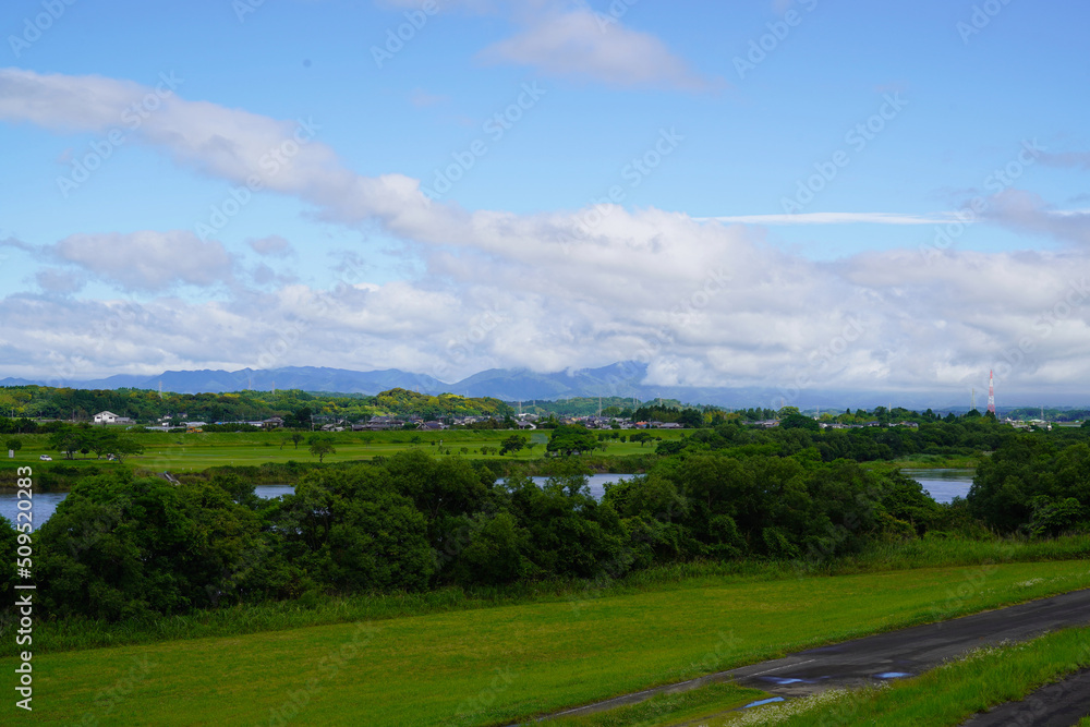 雨上がりの川辺の風景2 雨上がりの川辺の風景2