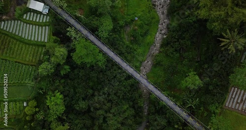 Vertical drone shot of metal suspension bridge build over valley with river on the bottom and surrounded by trees and vegetable plantation. Named Mangunsuko or Jokowi bridge on Central Java, Indonesia photo