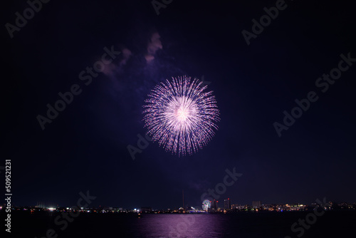 名港水上芸術花火の打上花火 © Masahiro