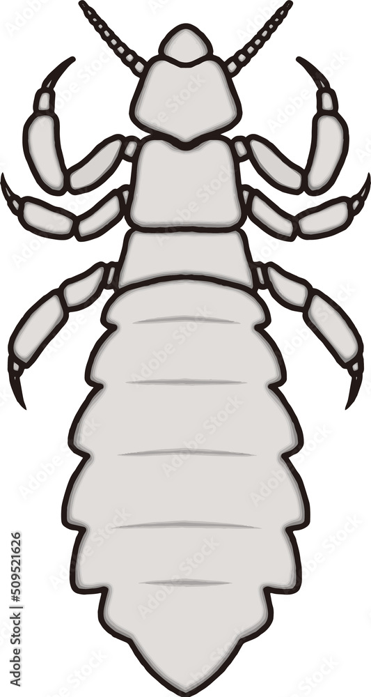 Obraz premium 虱のイラスト