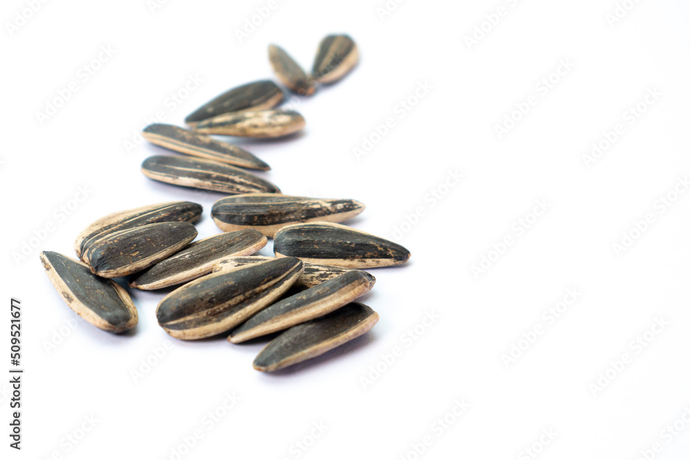 Sunflower seeds in close-up photo on a plain white background Sunflower seeds in close-up photo on a plain white background