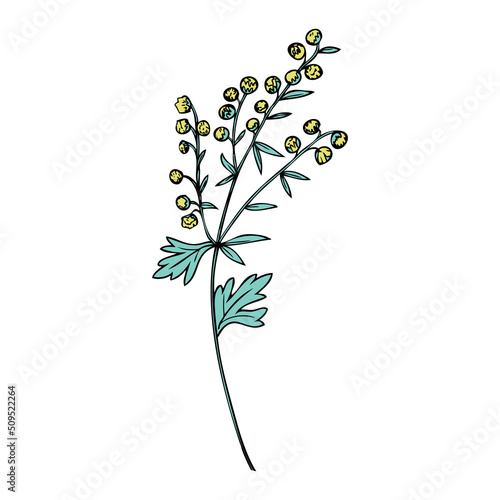 Artemisia absinthium, wormwood hand drawn vector ink color sketch isolated on white, Also called absinthium absinthe wormwood, Common Wormwood herb, Absinthe plant, Doodle Healing for design alcohol