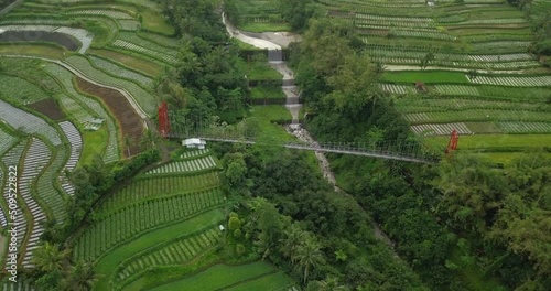 Reveal drone shot of metal suspension bridge build over river with waterfall, surrounded by trees and plantation, motorcycle croosing on it. Mangunsuko or Jokowi bridge on Central Java, Indonesia photo