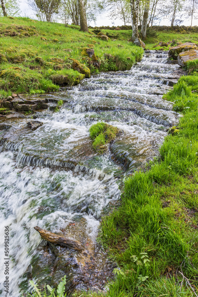 Fototapeta premium Stream on a meadow in spring