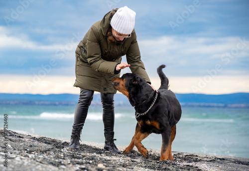 Fototapeta Naklejka Na Ścianę i Meble -  Woman fooling around with rottweiler dog in cold weather on the beach