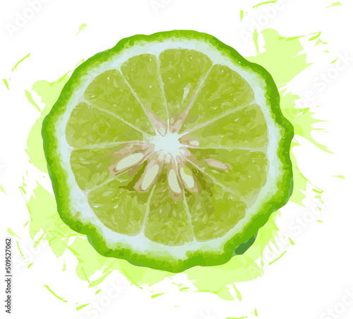 Abstract of kaffir lime slices with color spread on white background.