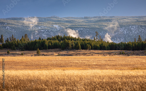 Orange grass field with background of hot zone in Yellowstone. photo