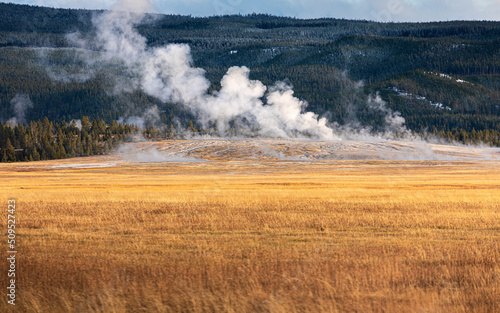 Orange grass field with background of hot zone in Yellowstone.